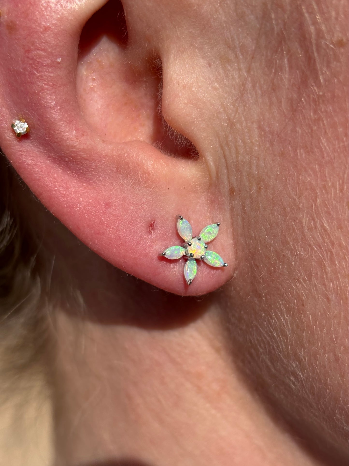 Eucalyptus Earrings - Sterling Silver