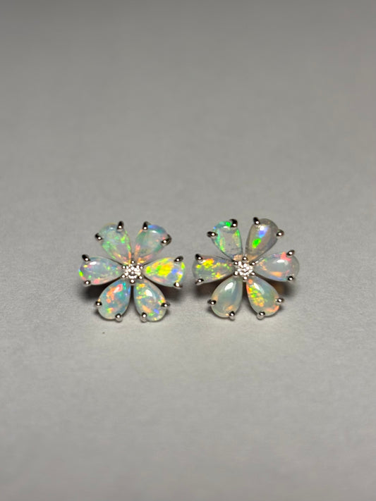 Banksia Earring - Sterling Silver