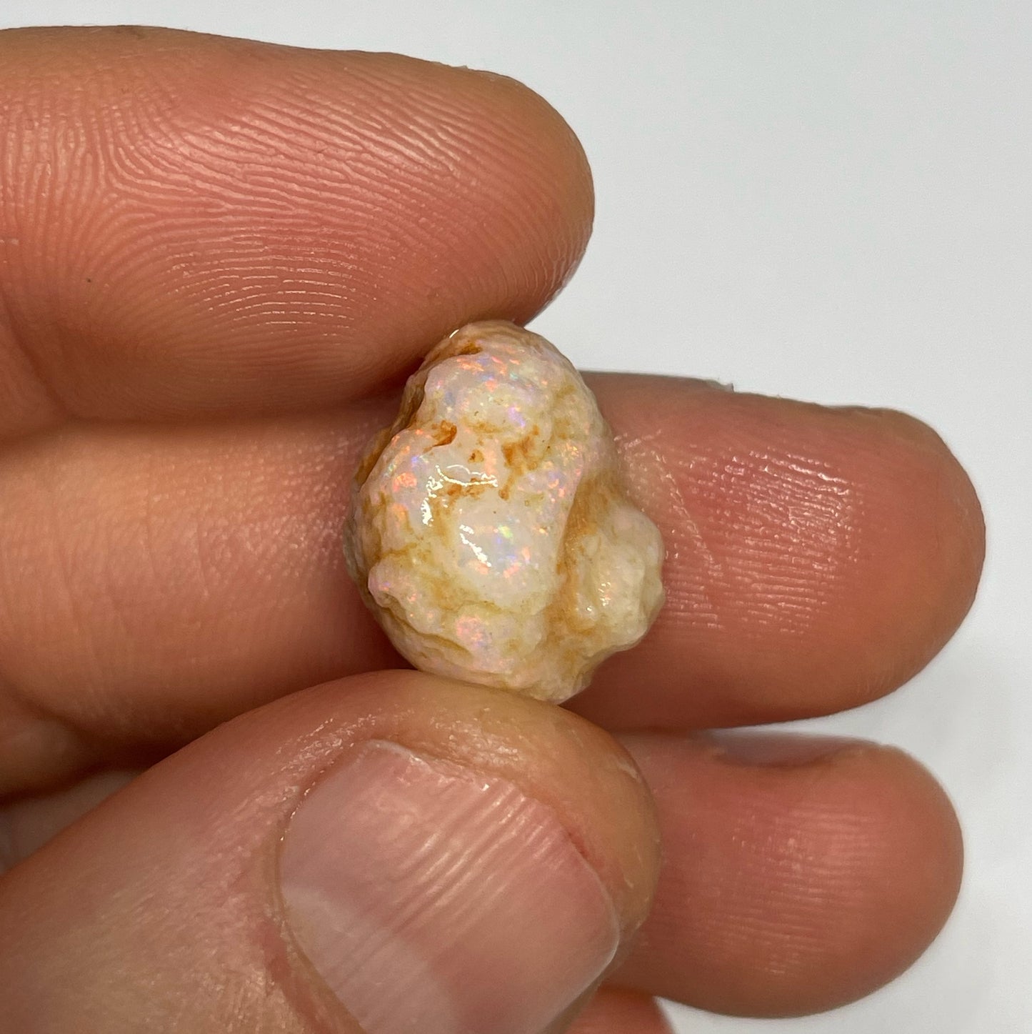 10.3ct Coober Pedy Gastropod (Snail)
