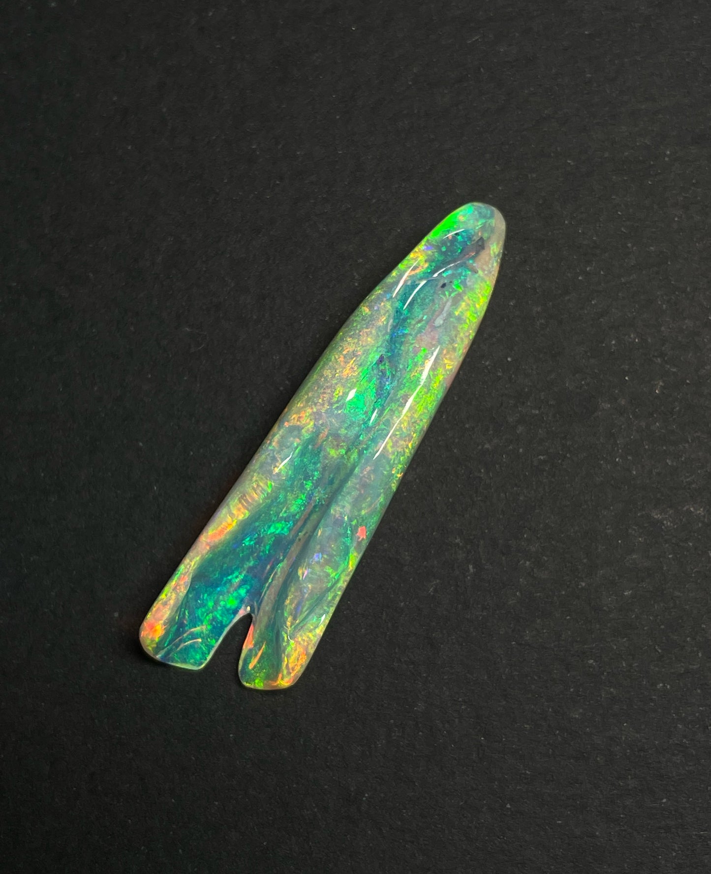 16.8ct Belemnite Pipe Fossil