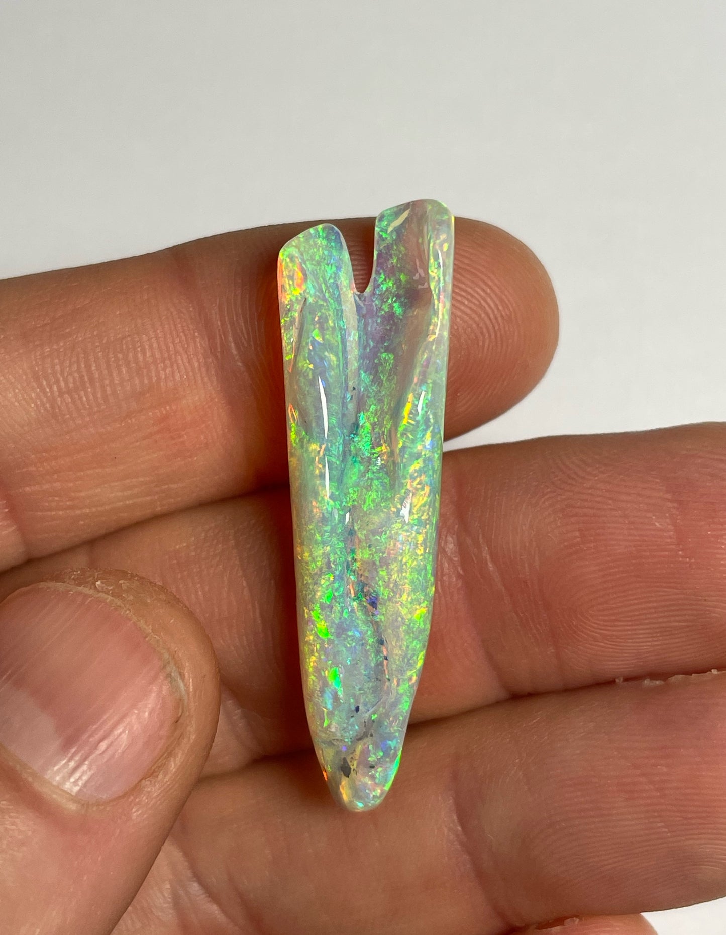 16.8ct Belemnite Pipe Fossil