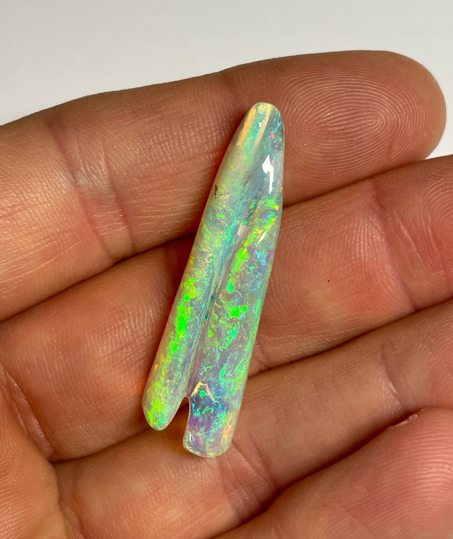 16.8ct Belemnite Pipe Fossil