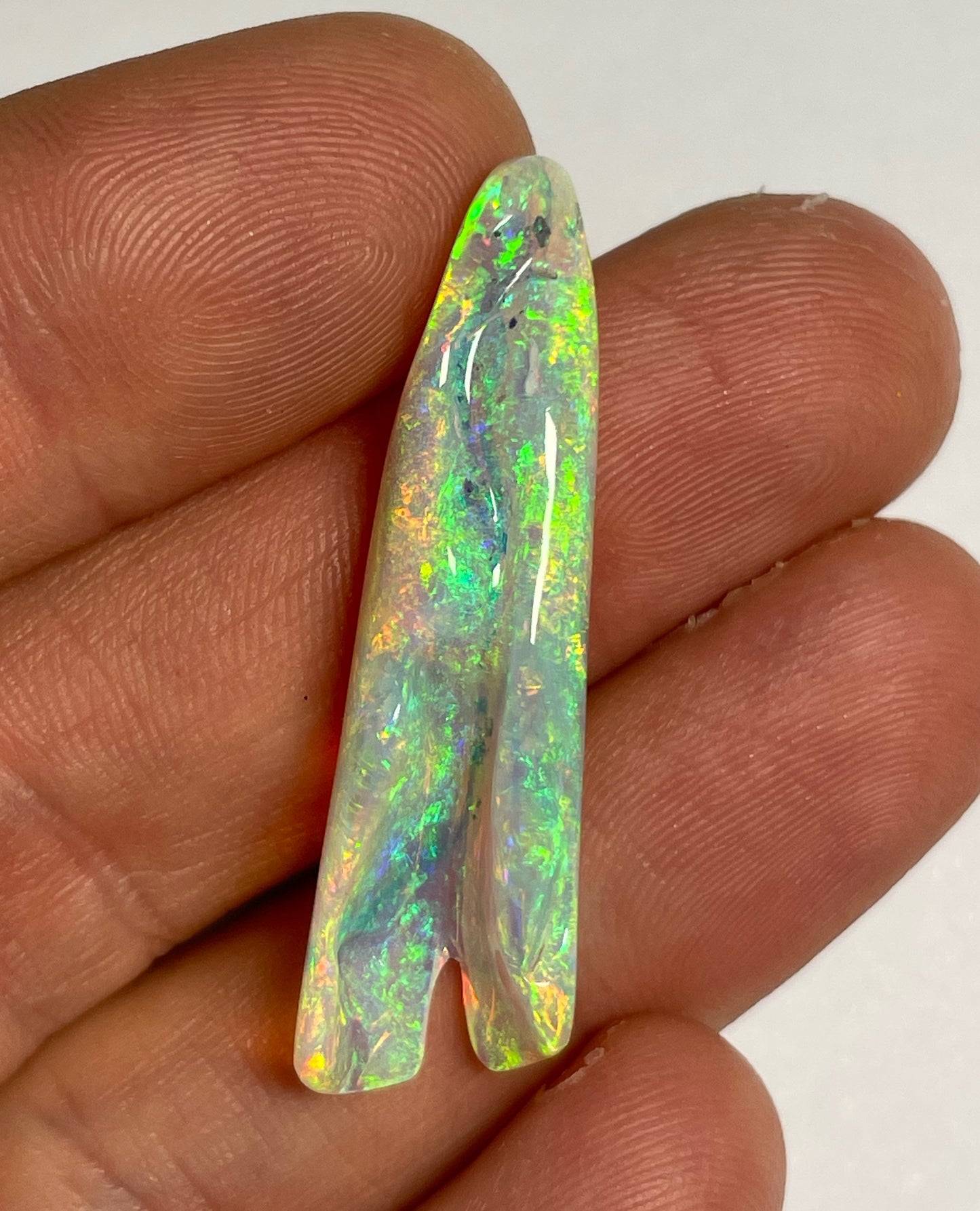 16.8ct Belemnite Pipe Fossil