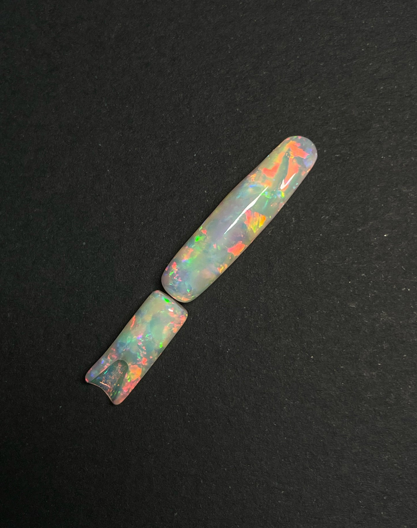 9ct Belemnite Pipe Fossil