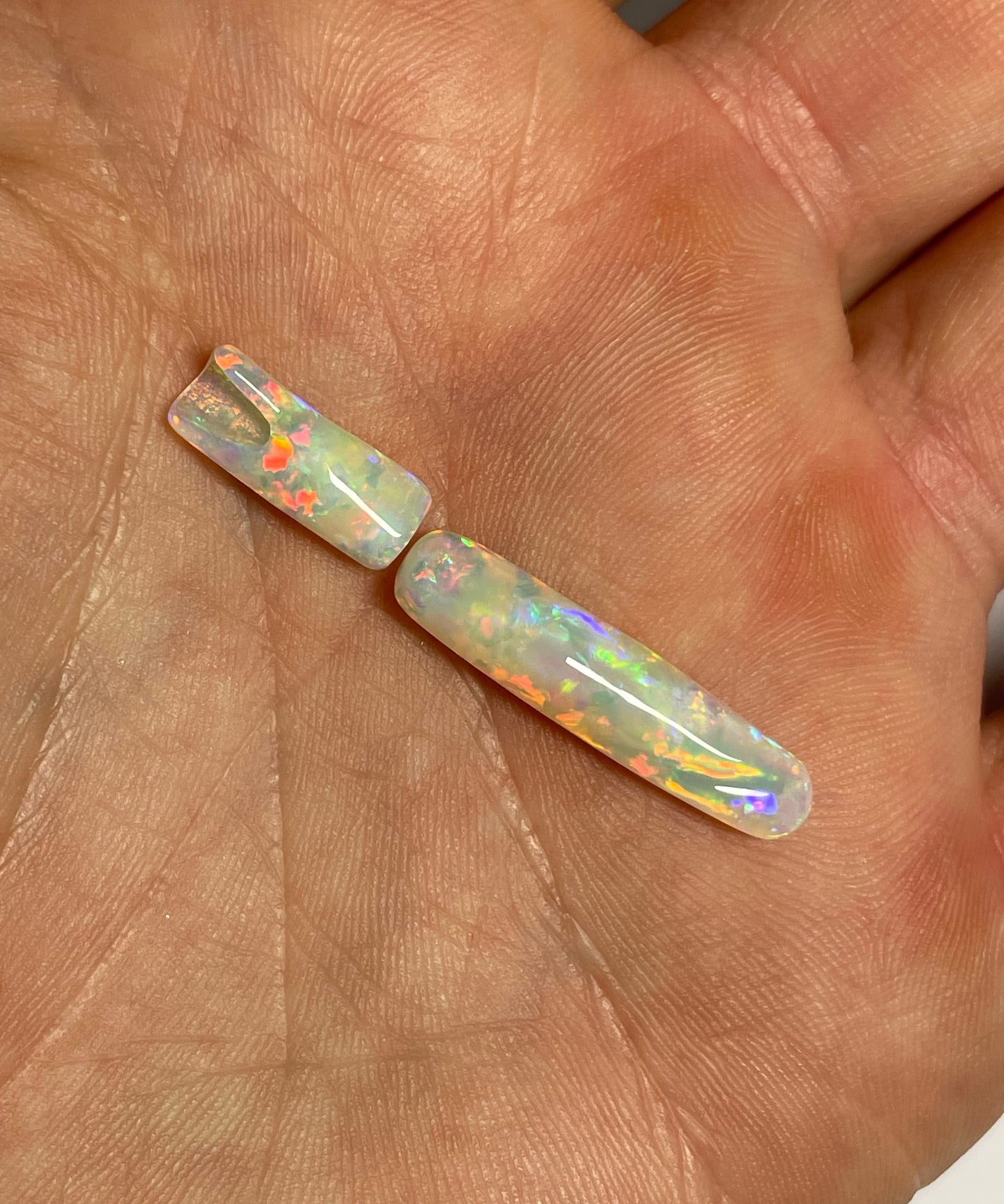 9ct Belemnite Pipe Fossil