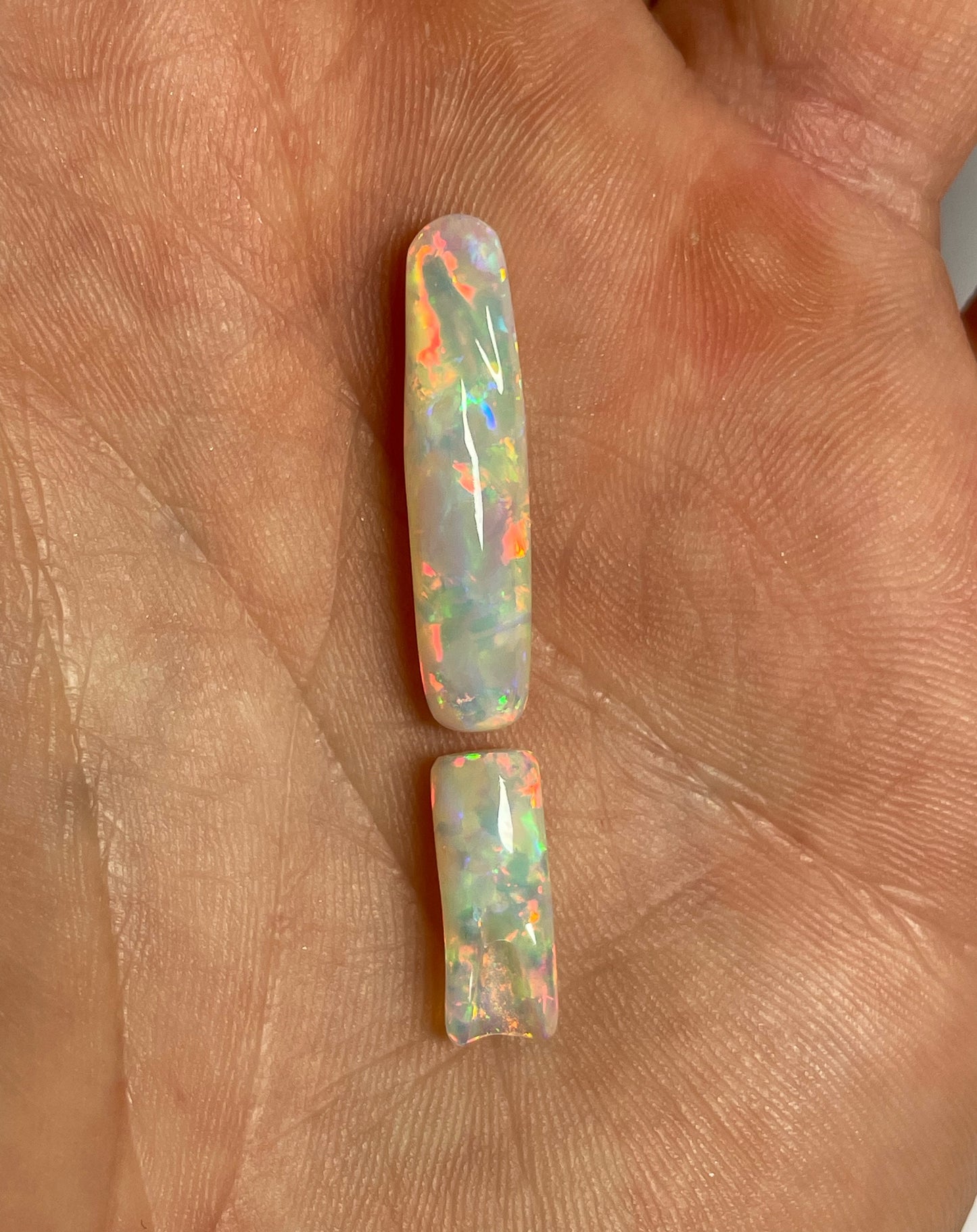 9ct Belemnite Pipe Fossil