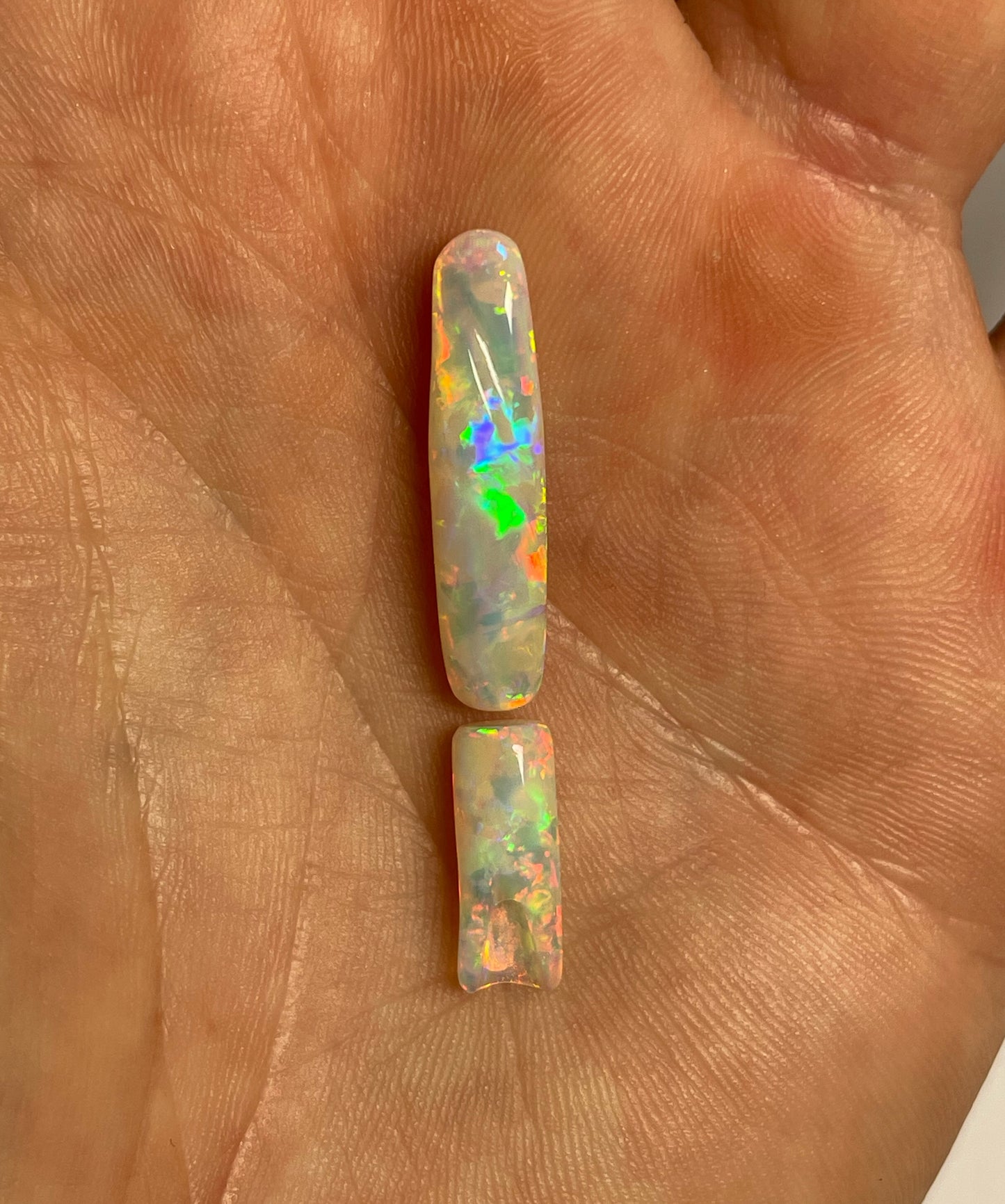 9ct Belemnite Pipe Fossil