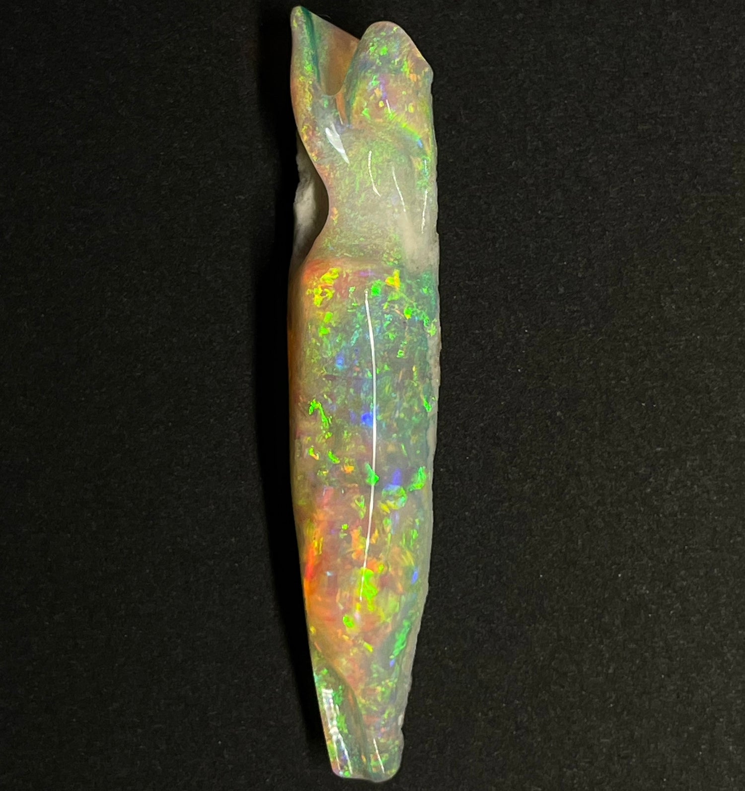 Opal Fossils