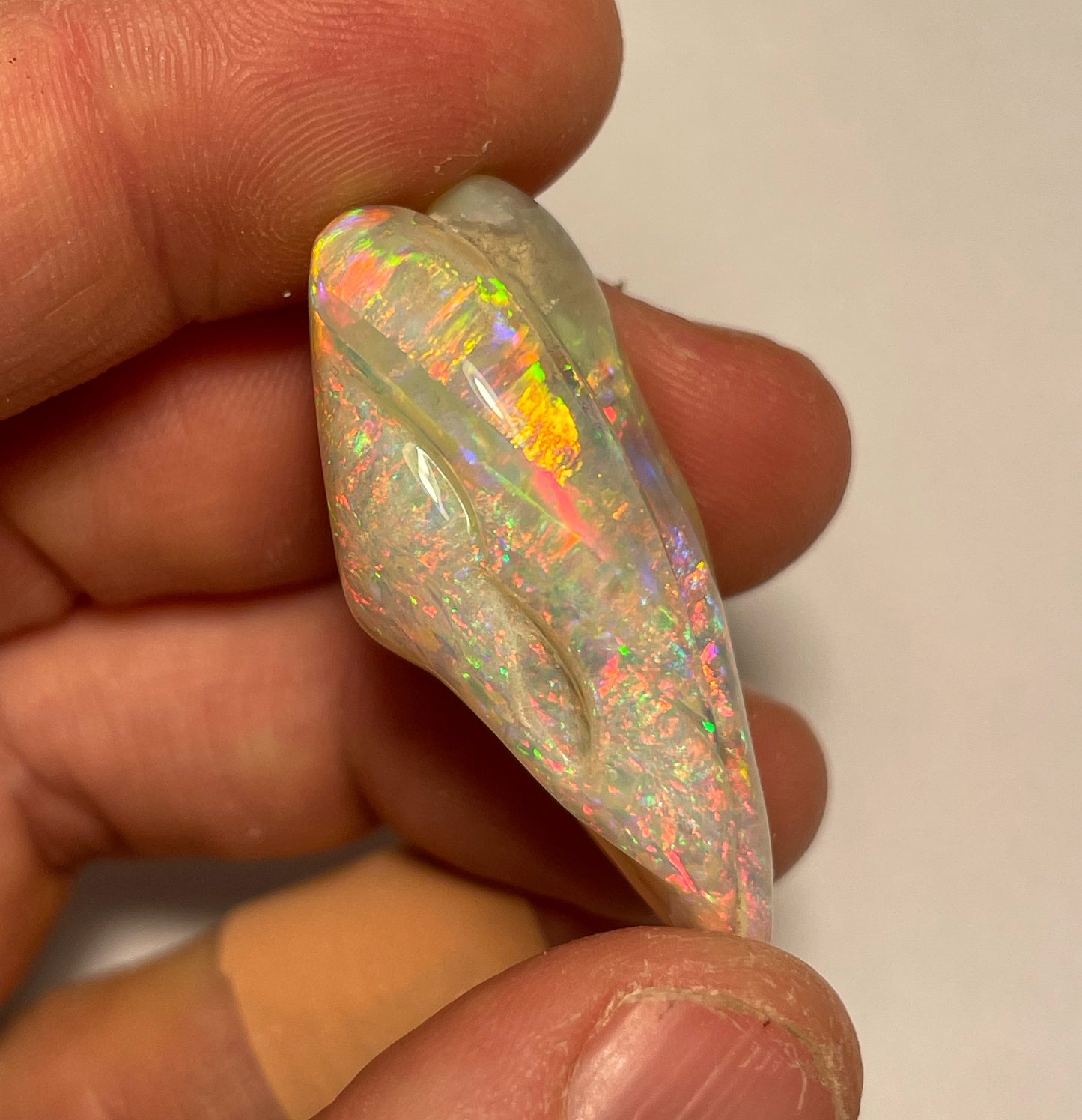 55.6ct Coober Pedy Muscle Shell