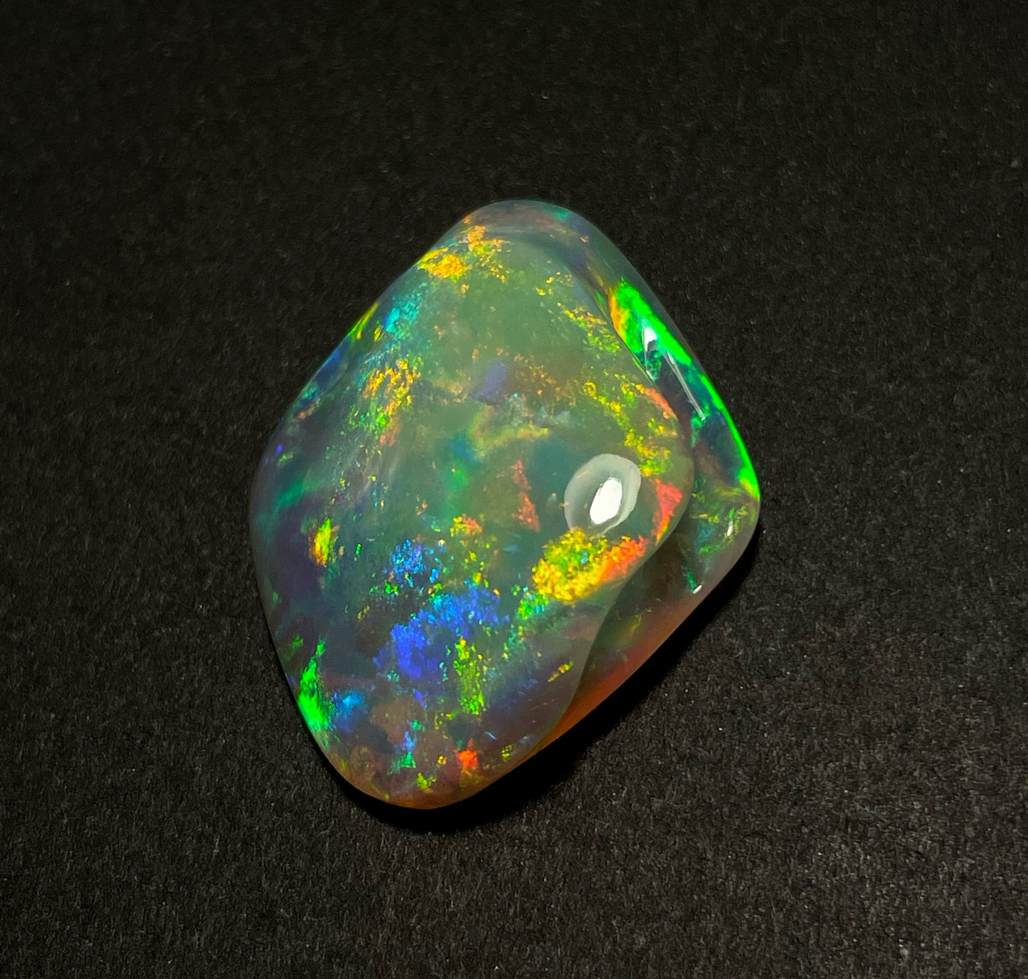 21.1ct Coober Pedy Cockle Shell