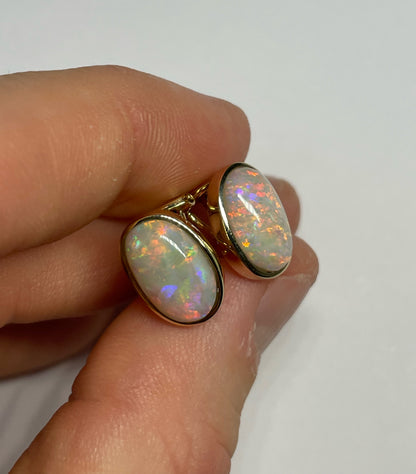 Bold & Beautiful Earrings - 14k