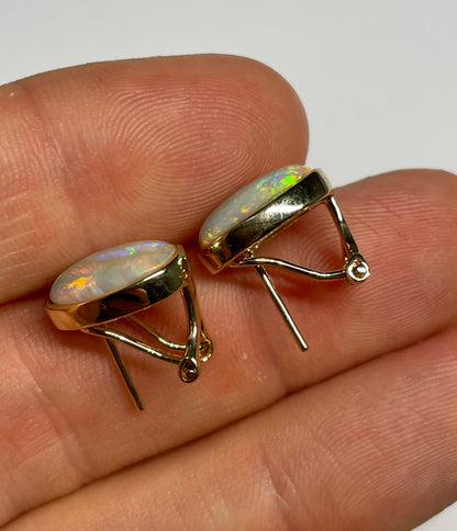 Bold & Beautiful Earrings - 14k