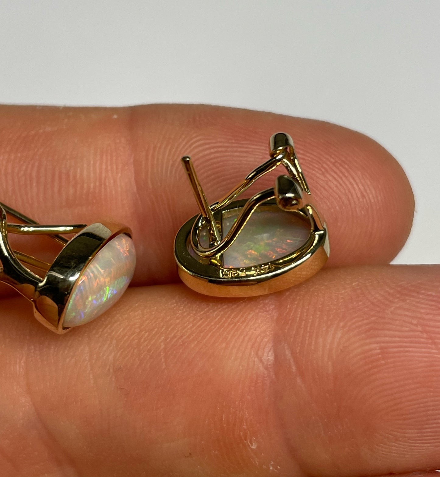 Bold & Beautiful Earrings - 14k