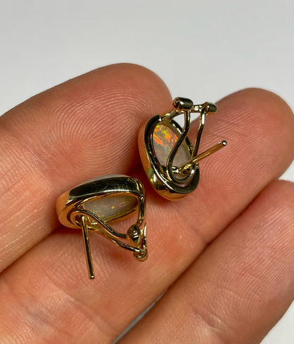 Bold & Beautiful Earrings - 14k