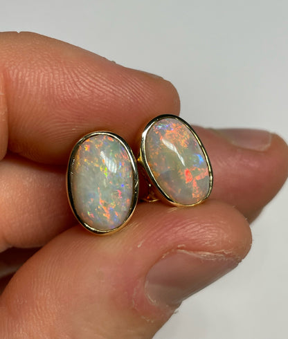 Bold & Beautiful Earrings - 14k