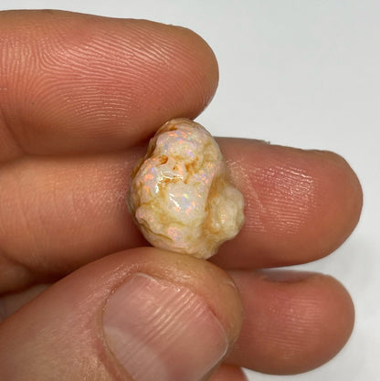10.3ct Coober Pedy Gastropod (Snail)