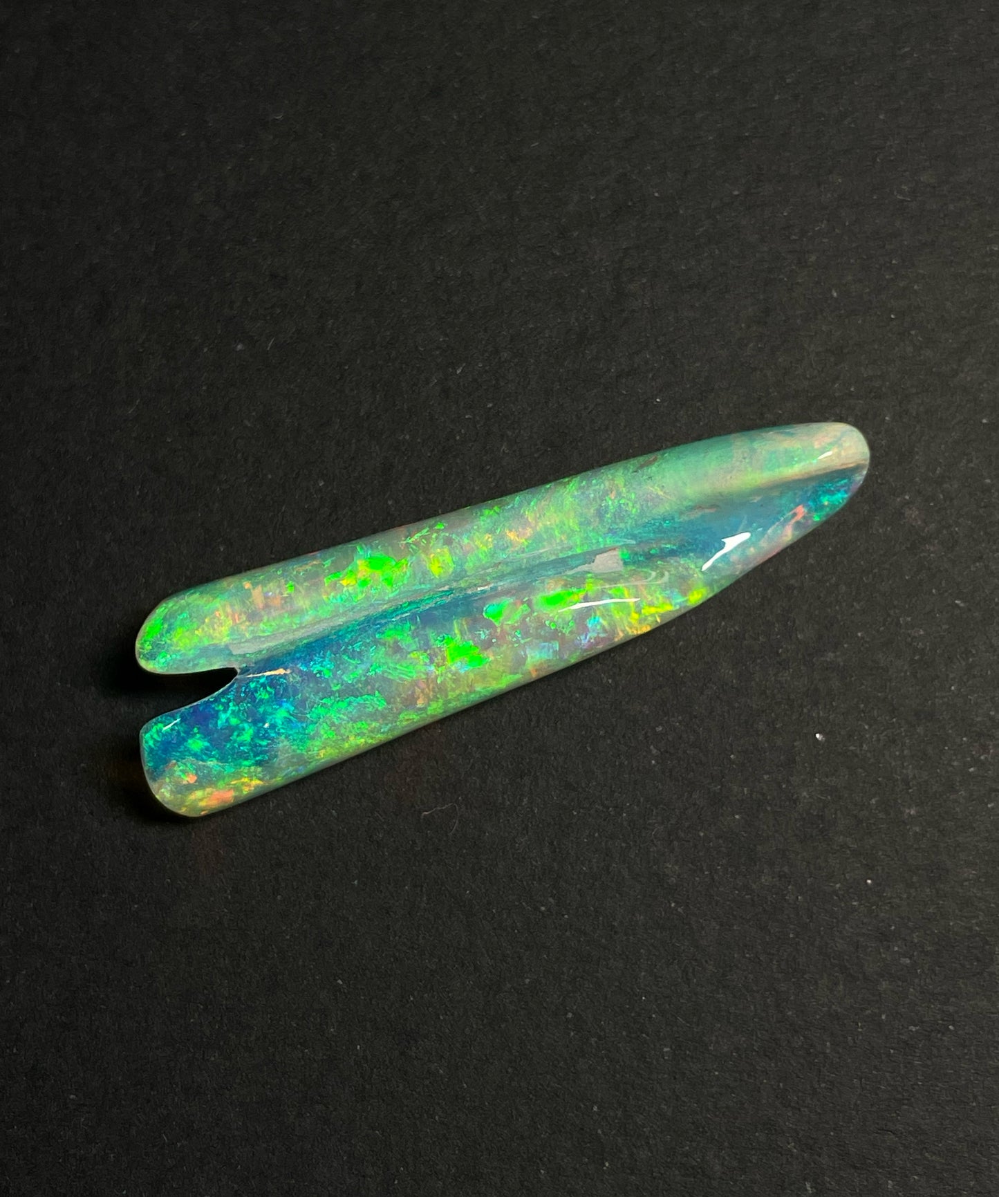 16.8ct Belemnite Pipe Fossil