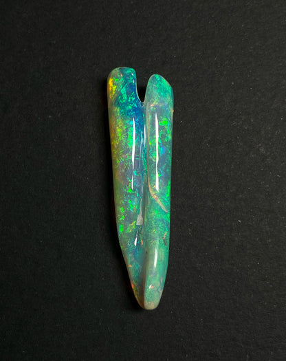 16.8ct Belemnite Pipe Fossil
