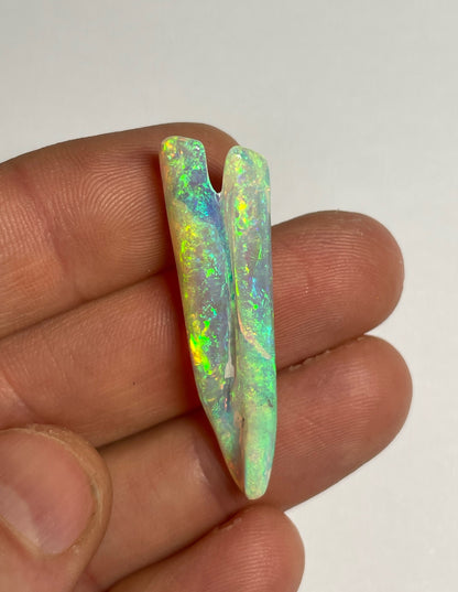 16.8ct Belemnite Pipe Fossil