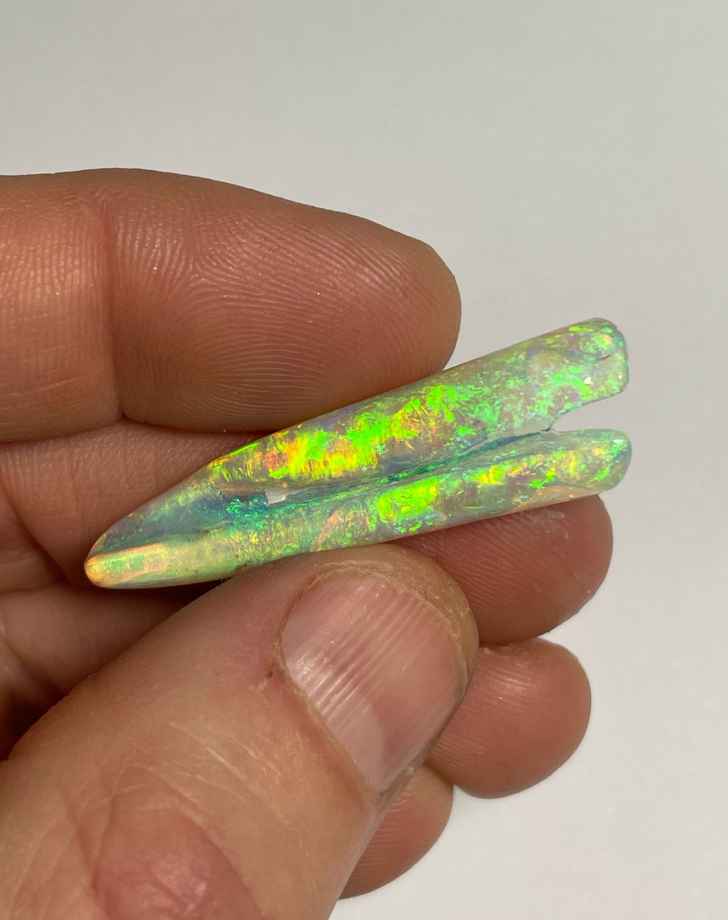 16.8ct Belemnite Pipe Fossil