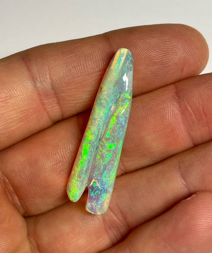 16.8ct Belemnite Pipe Fossil