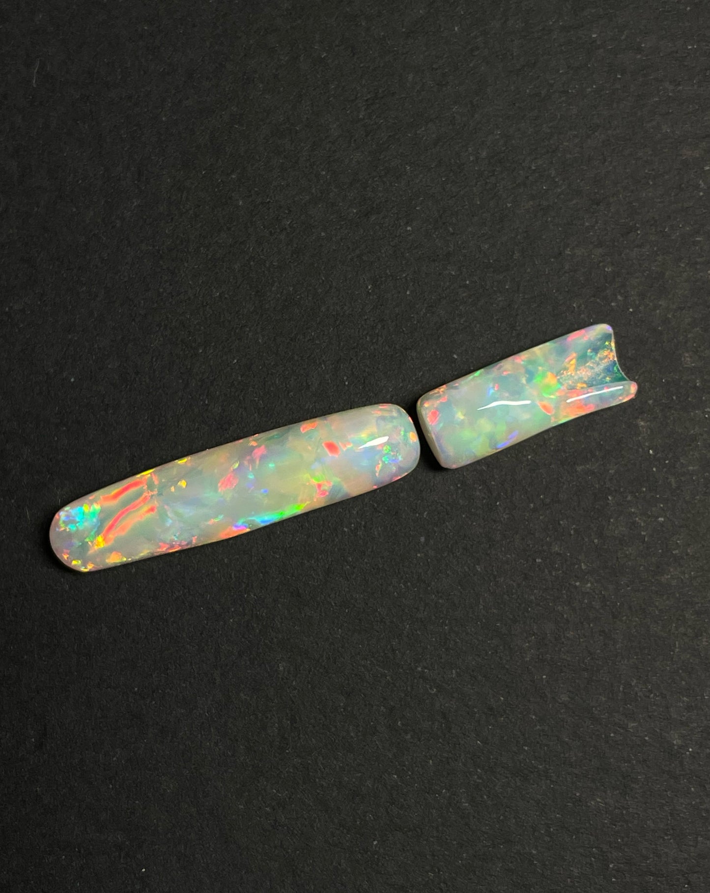 9ct Belemnite Pipe Fossil