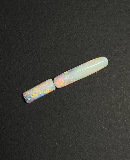 9ct Belemnite Pipe Fossil