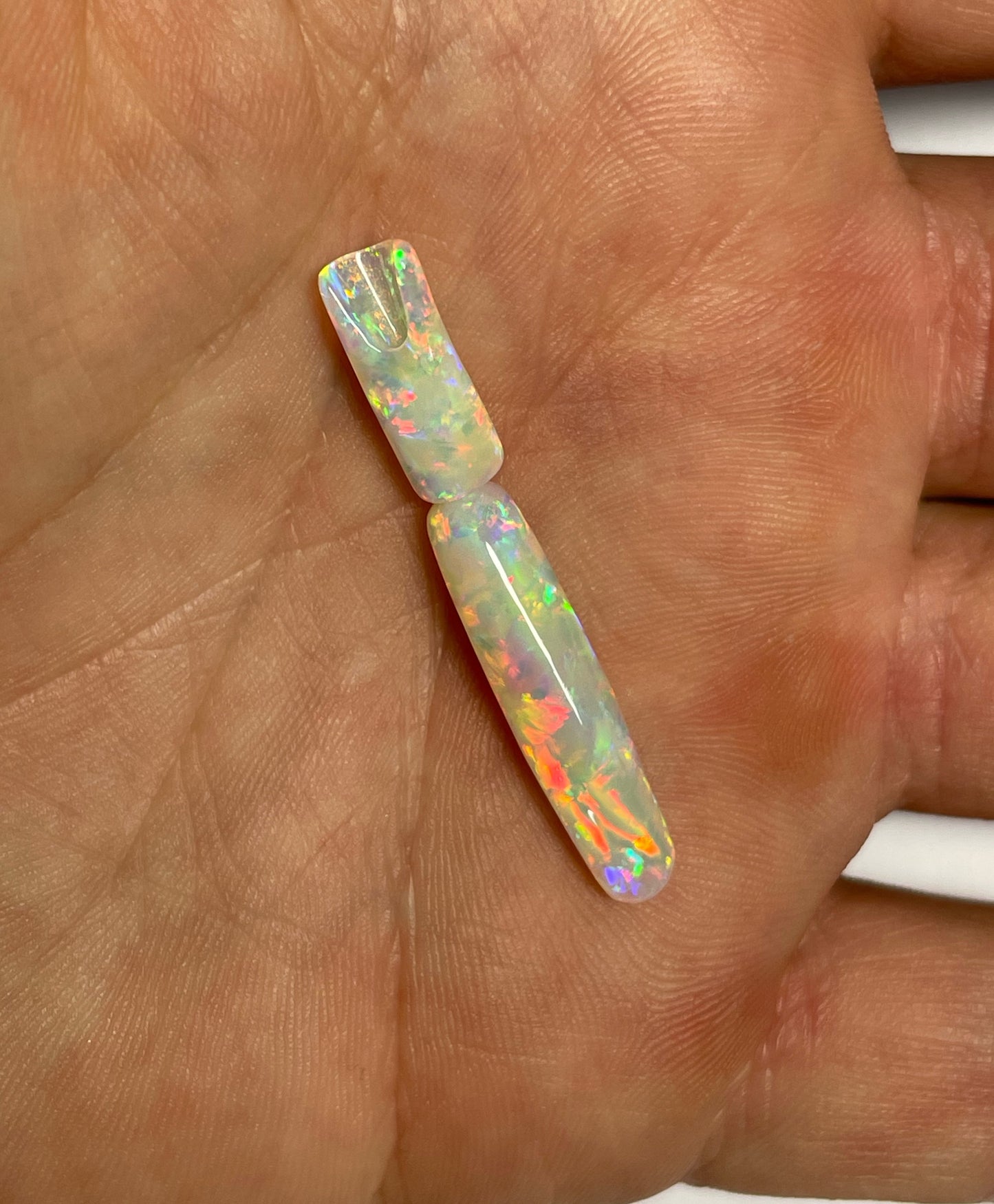 9ct Belemnite Pipe Fossil