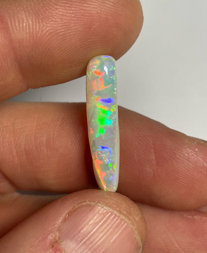 9ct Belemnite Pipe Fossil