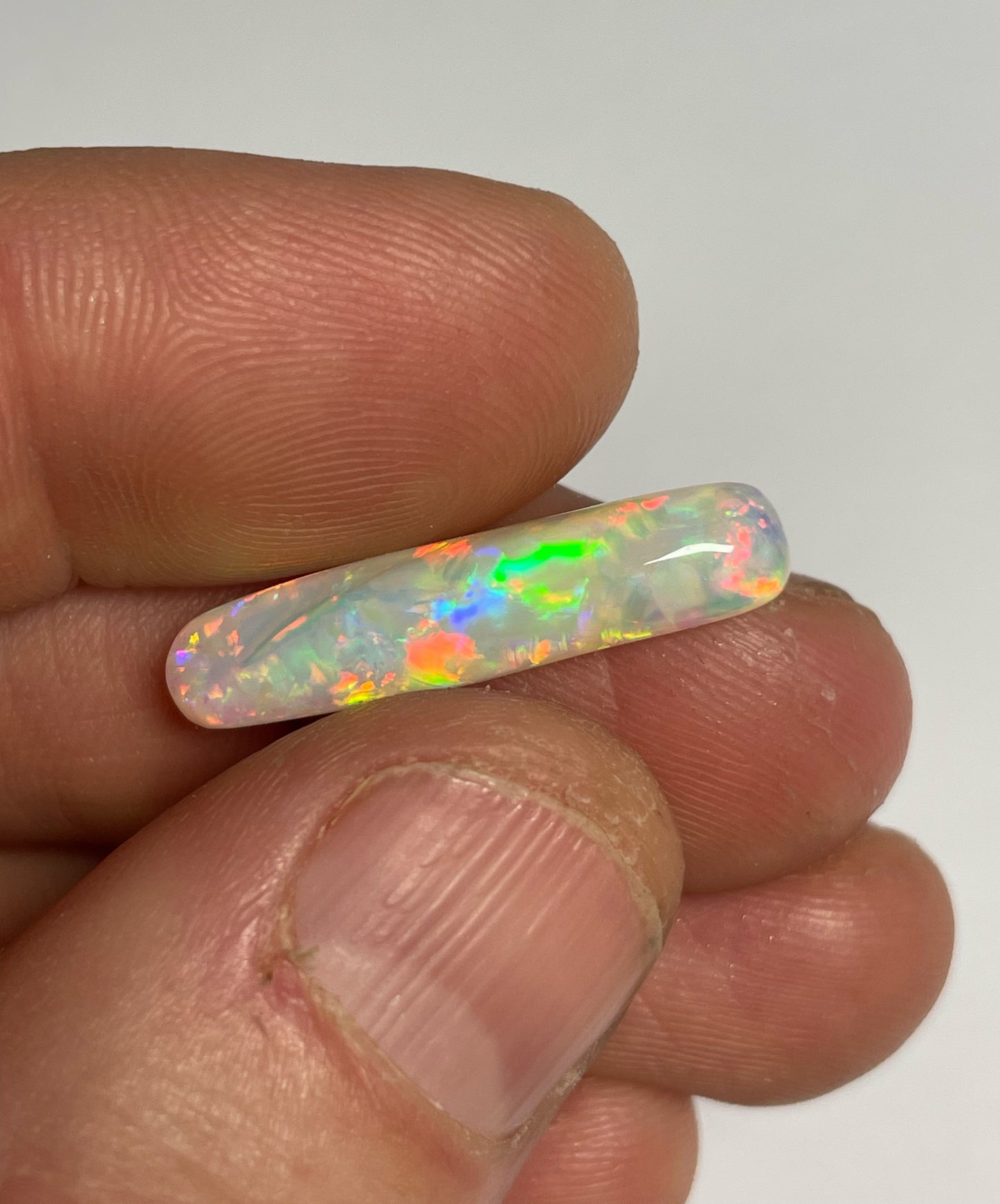 9ct Belemnite Pipe Fossil