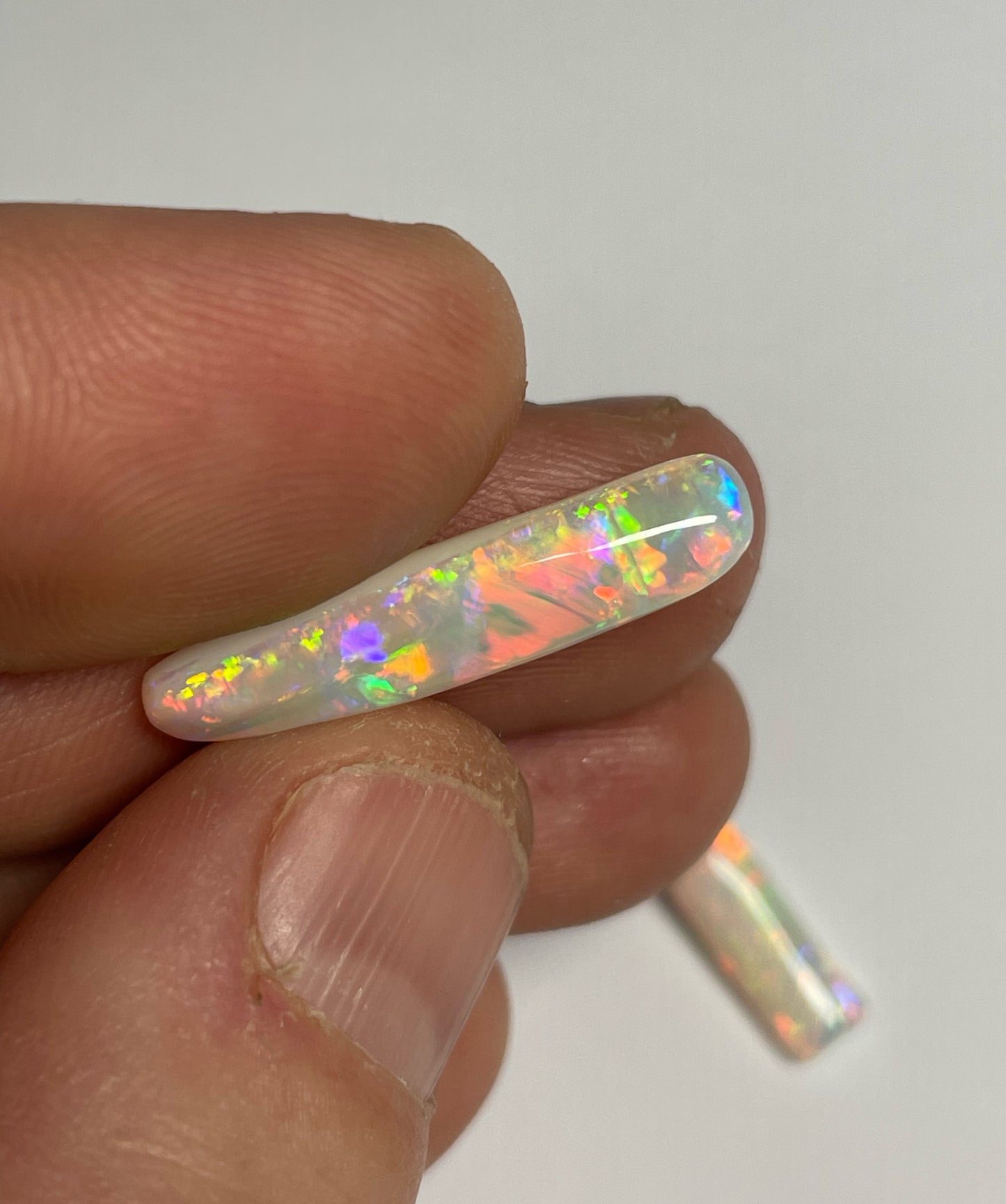 9ct Belemnite Pipe Fossil