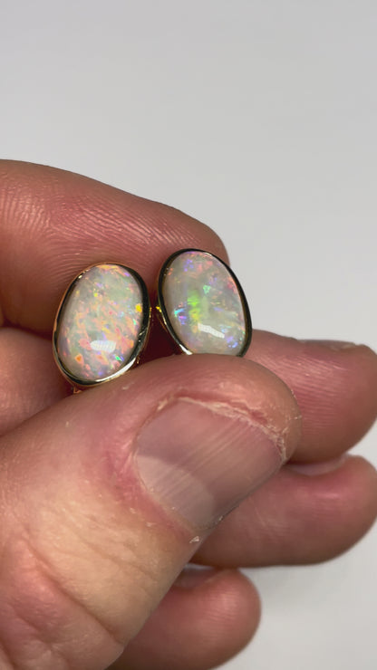 Bold & Beautiful Earrings - 14k