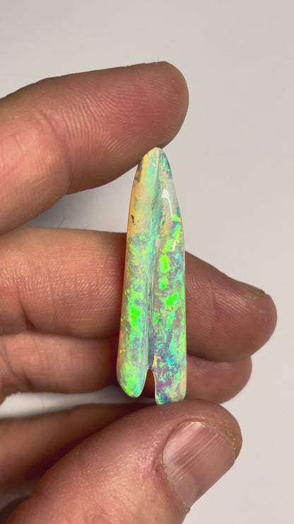 16.8ct Belemnite Pipe Fossil