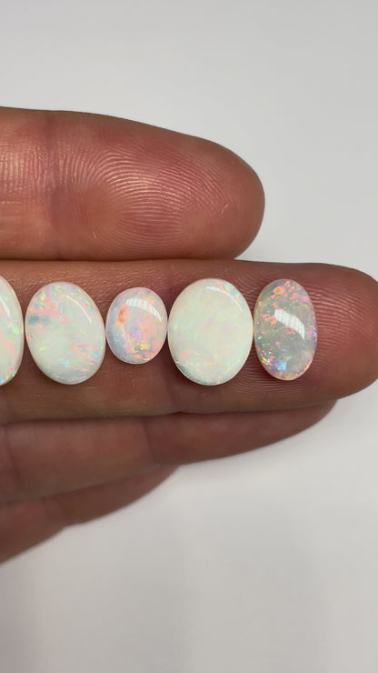11.6ct Andamooka Parcel