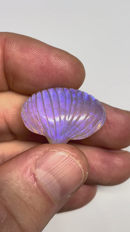 24.6ct Andamooka Crystal Opal